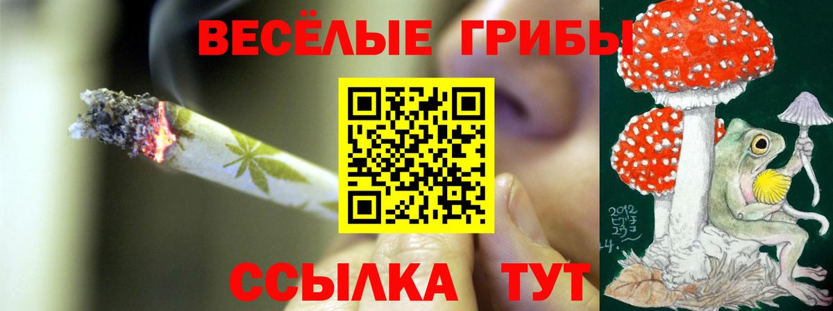 Братск  Галлюциногенные грибы ЛСД  Вход с VPN 